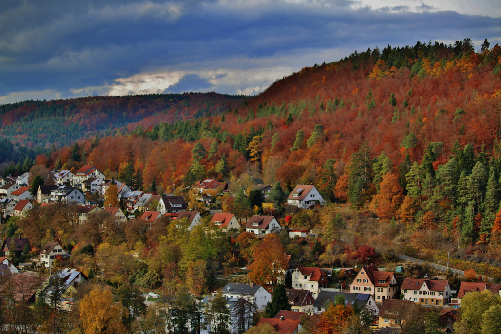 HERBSTLICHE Impressionen/ 1