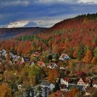 HERBSTLICHE Impressionen/ 1