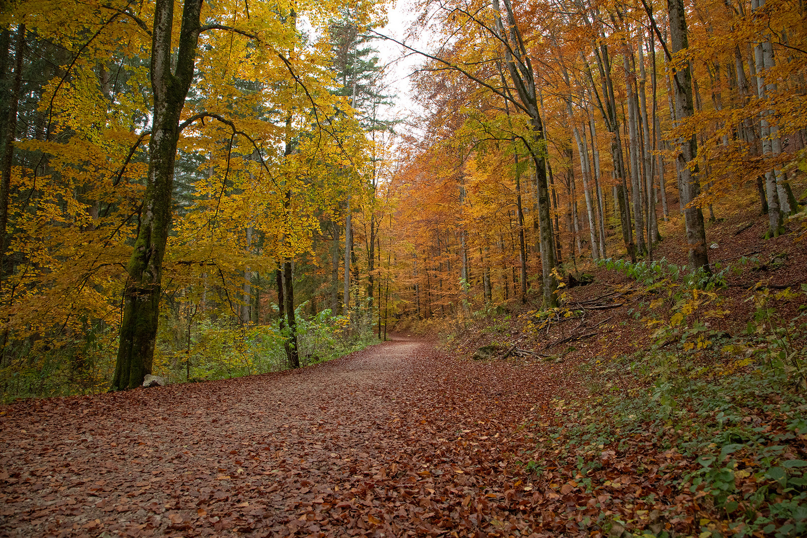 Herbstliche Impressionen 1