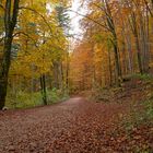 Herbstliche Impressionen 1