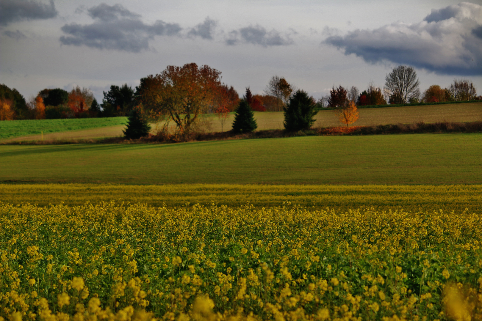 HERBSTLICHE Impressionen/ 2