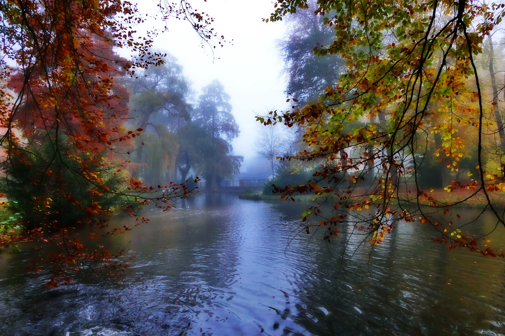 Herbstliche Impressionen 2017 - Bad Orb / 4