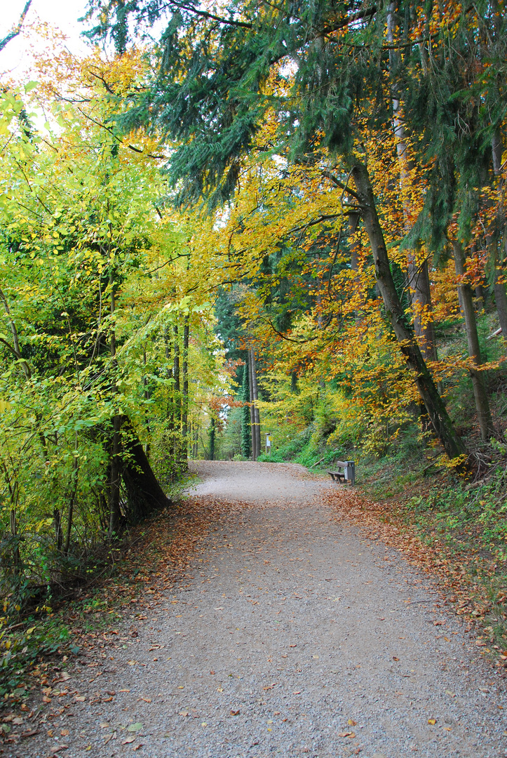 Herbstliche Impressionen