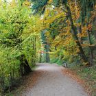 Herbstliche Impressionen