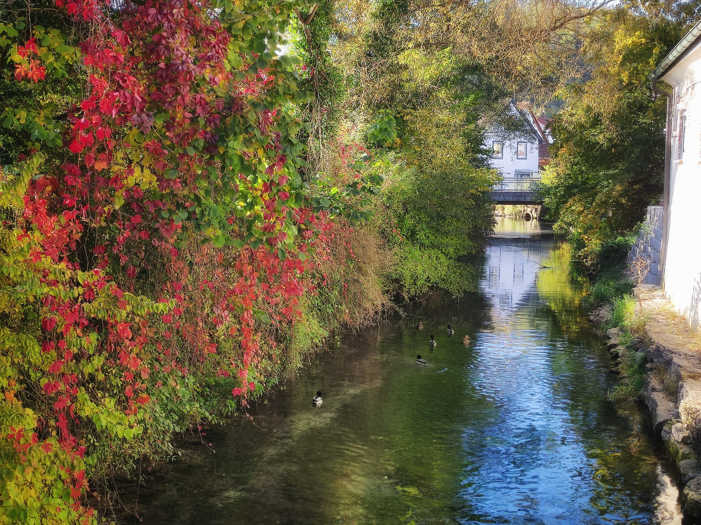 Herbstliche Impressionen