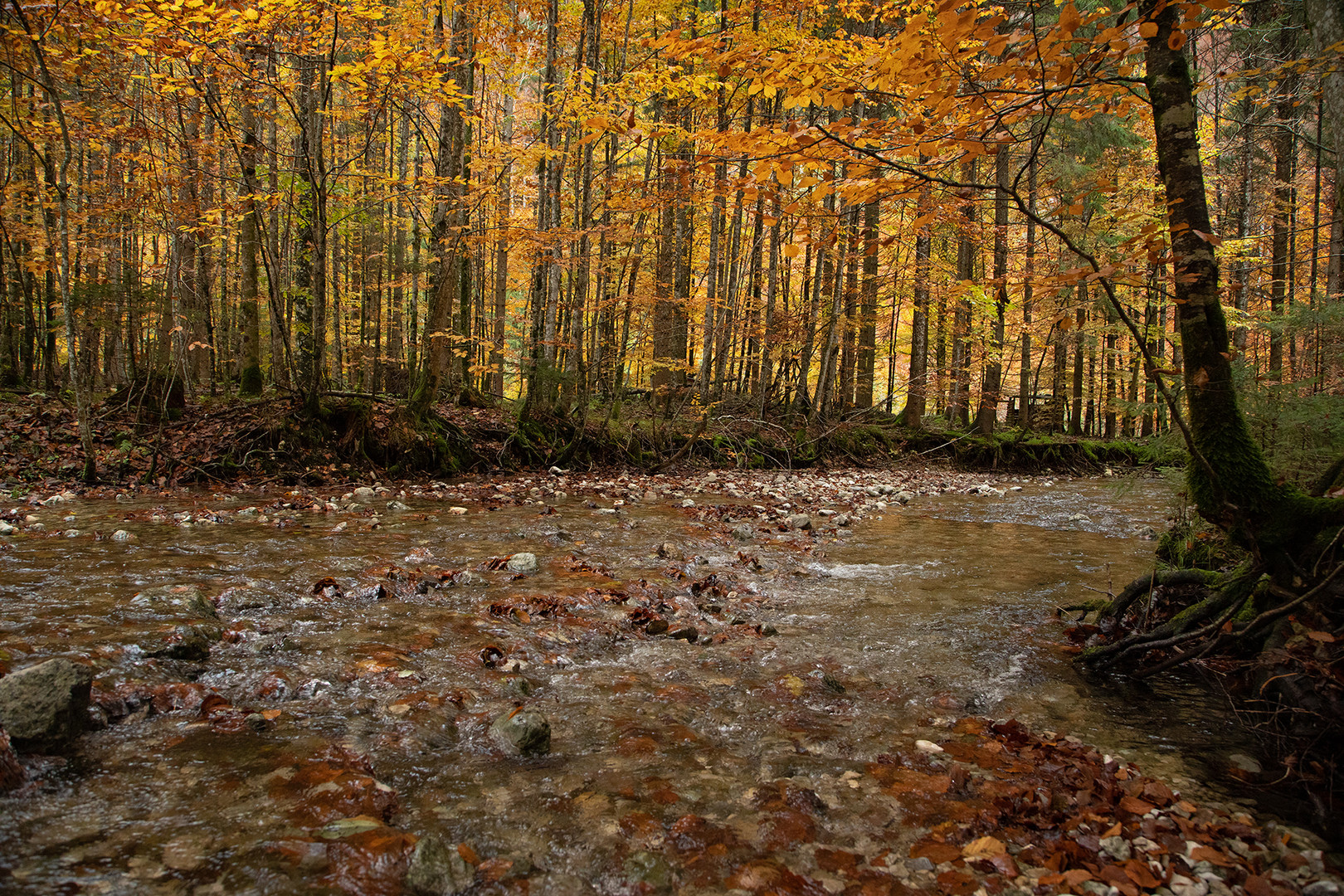 Herbstliche Impressionen 3