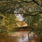 Herbstliche Impressionen