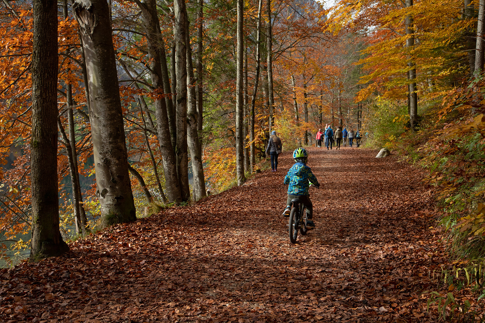 Herbstliche Impressionen 4