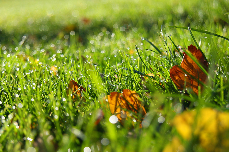 Herbstliche Impressionen