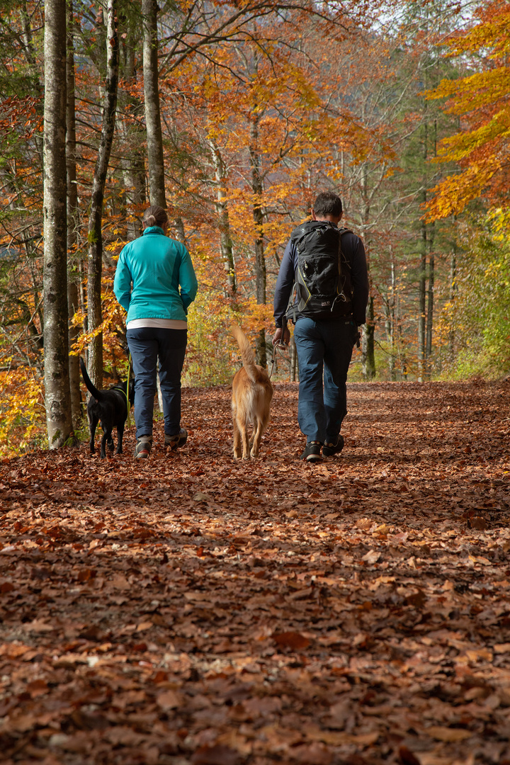 Herbstliche Impressionen 5