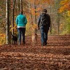 Herbstliche Impressionen 5