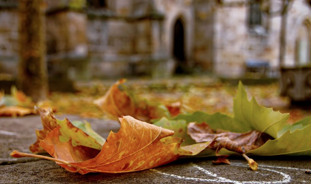 herbstliche Impressionen