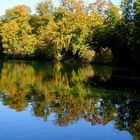 Herbstliche Impressionen