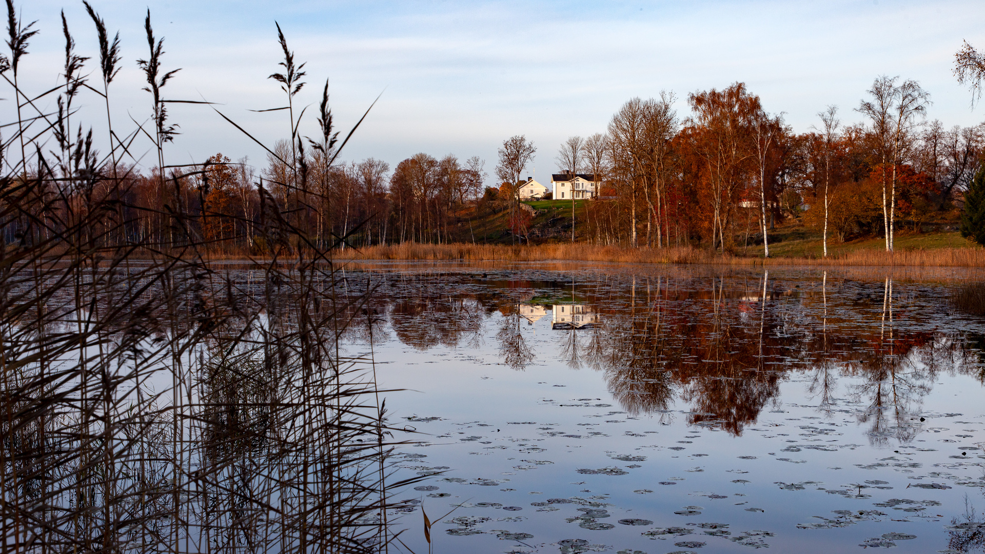 Herbstliche Impressionen 6