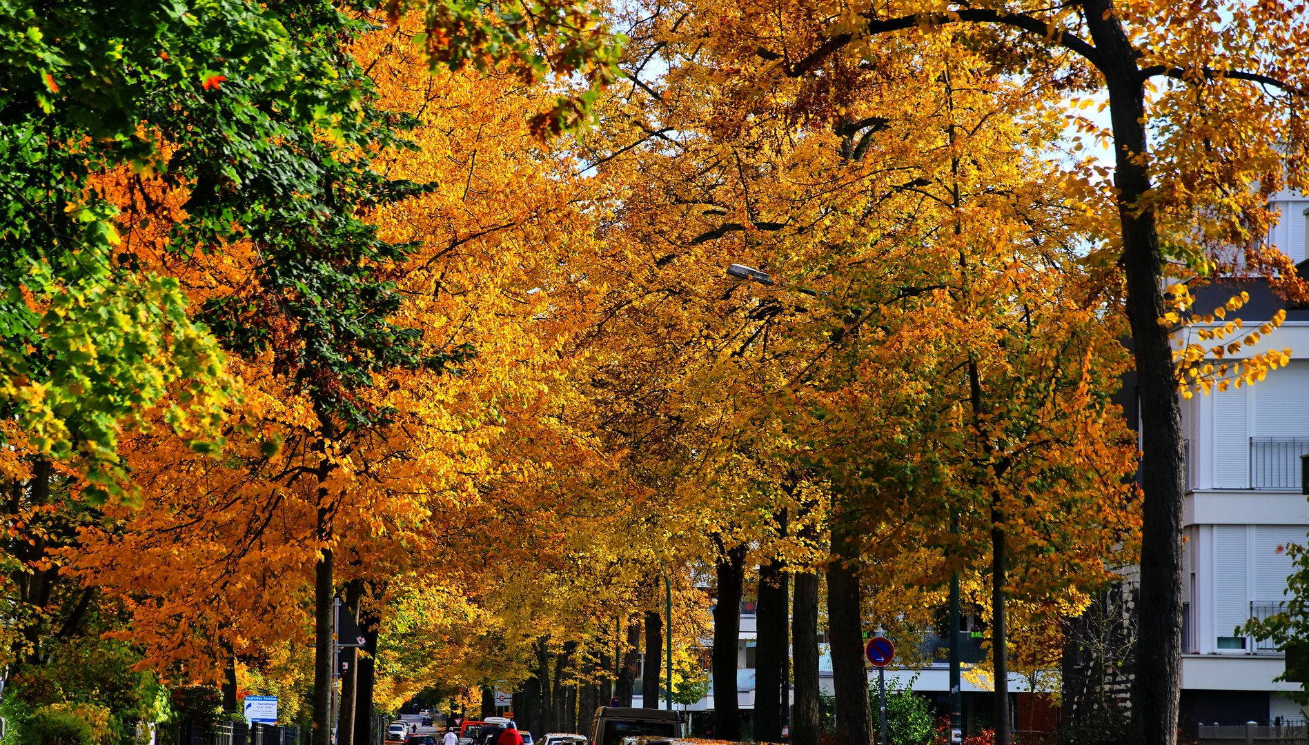 Herbstliche Impressionen 7