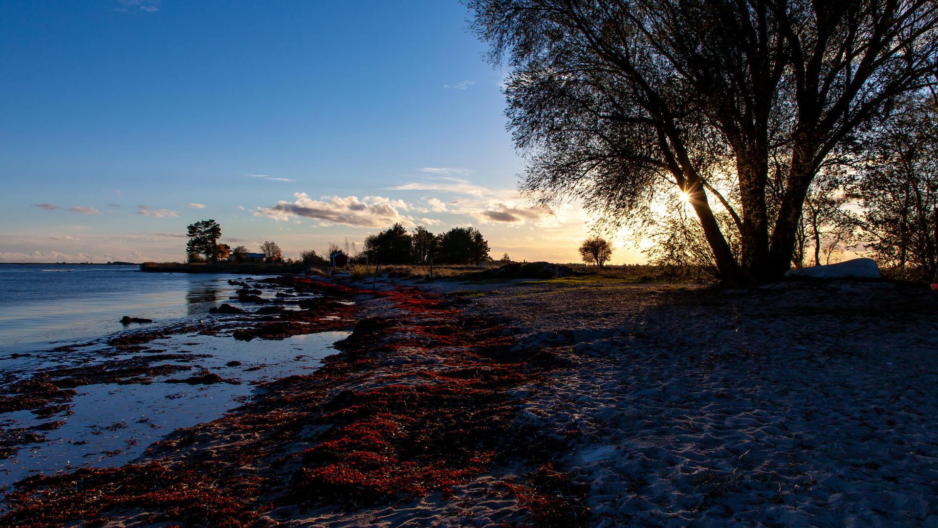 Herbstliche Impressionen 7 - Öland