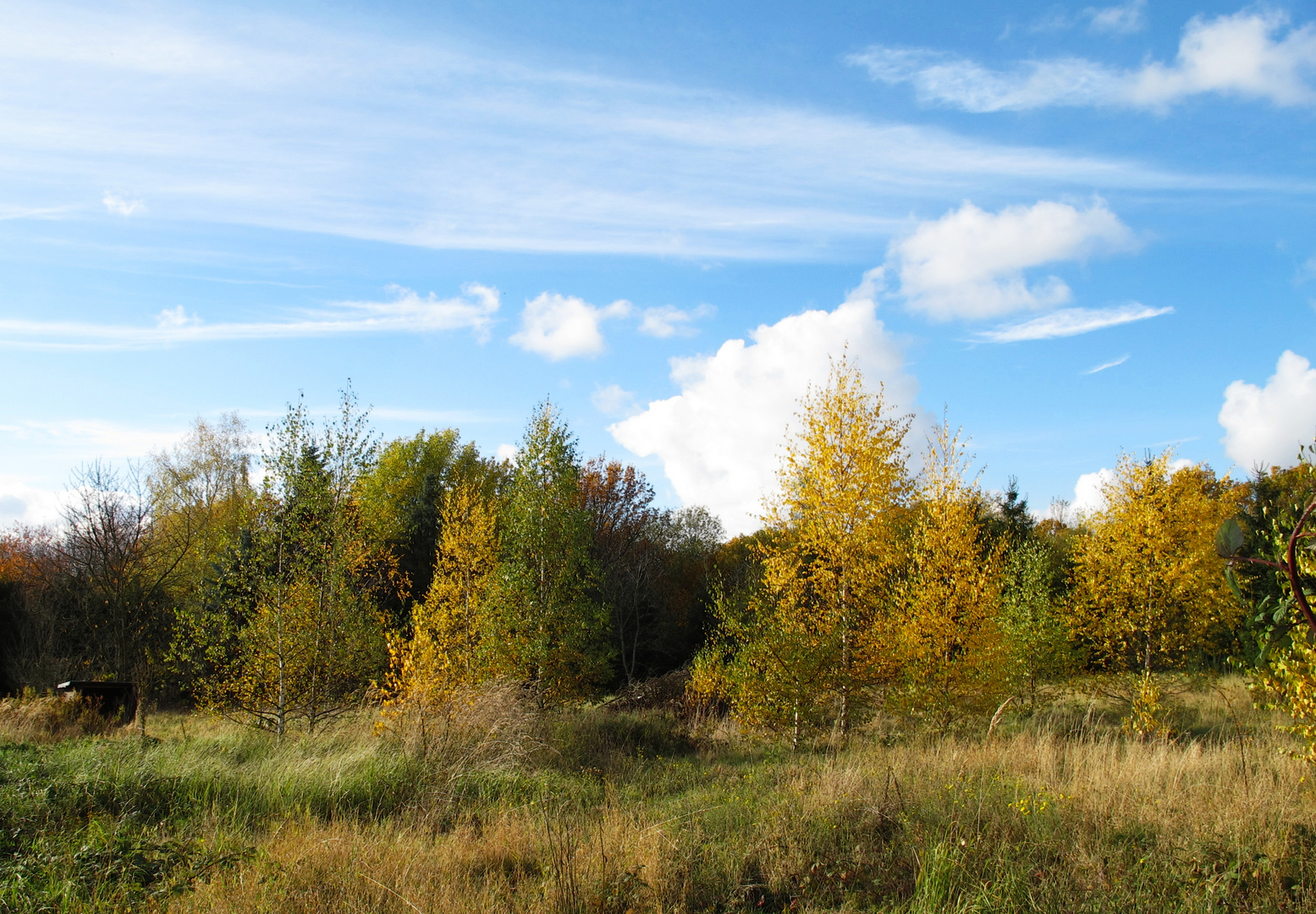 Herbstliche Impressionen