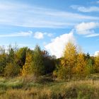 Herbstliche Impressionen