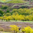 Herbstliche Impressionen