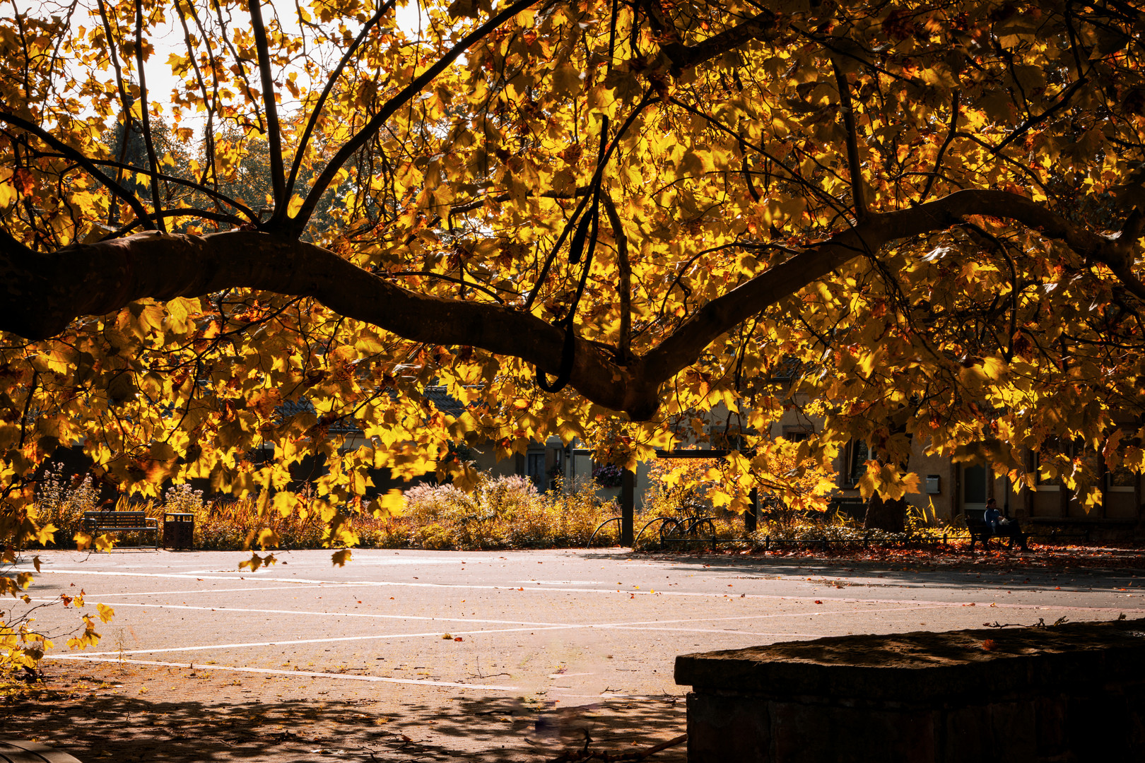 Herbstliche Impressionen 