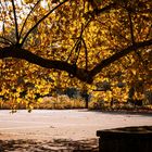 Herbstliche Impressionen 