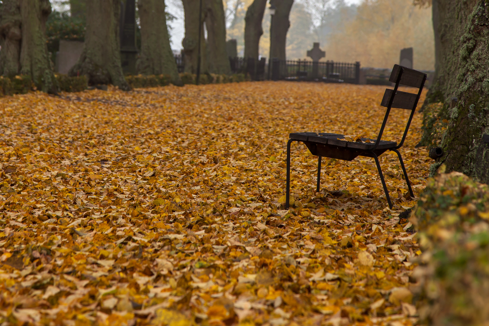 Herbstliche Impressionen 9