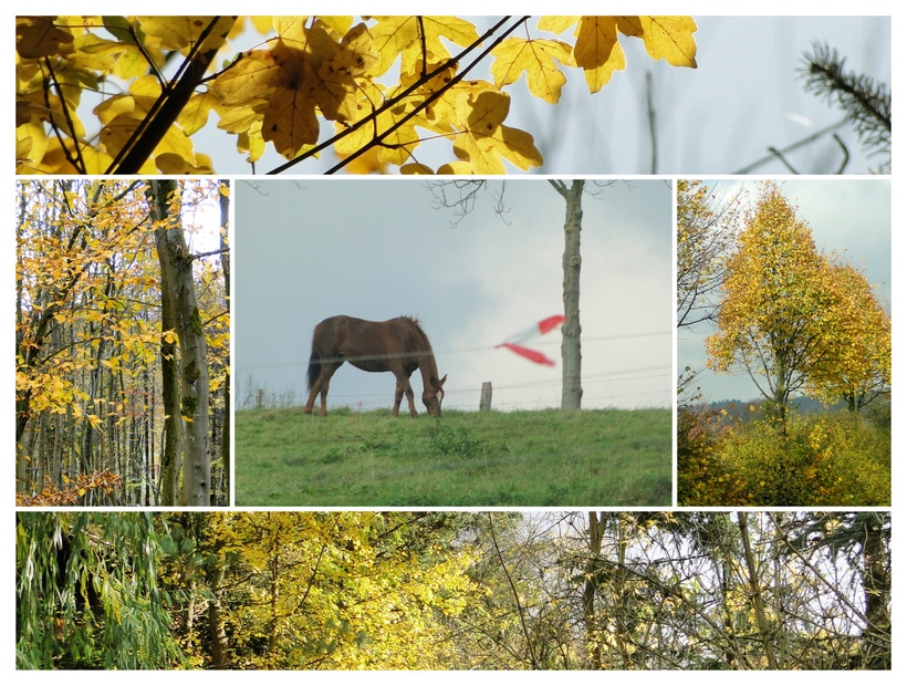 Herbstliche Impressionen