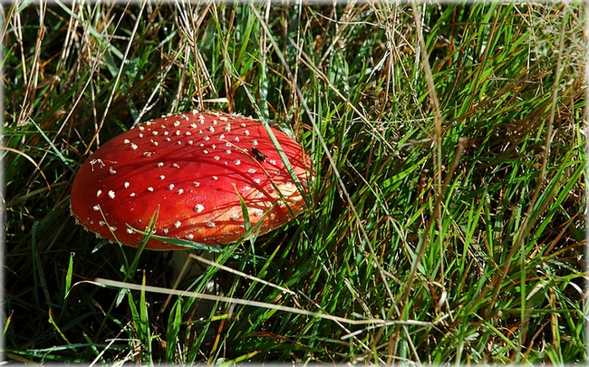 Herbstliche Impressionen