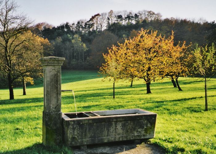 Herbstliche Impressionen