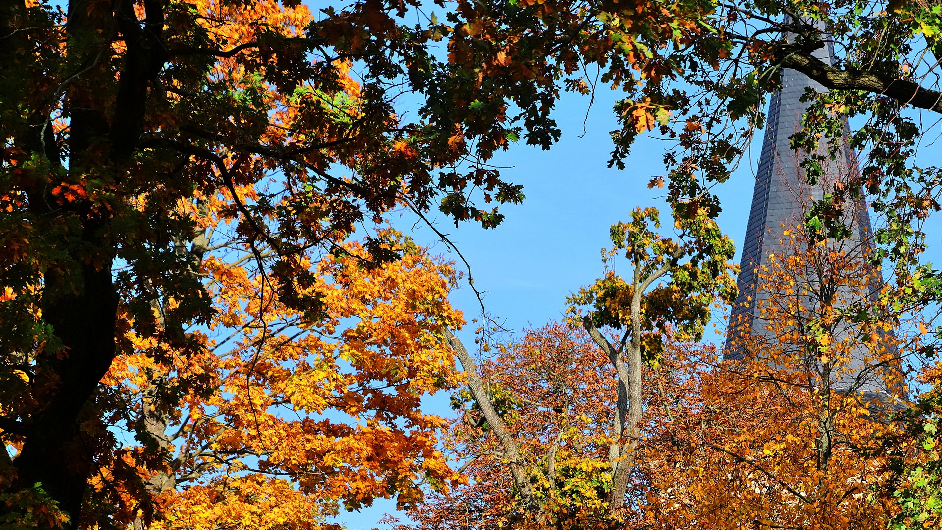 Herbstliche Impressionen