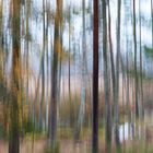 Herbstliche Impressionen "ICM"