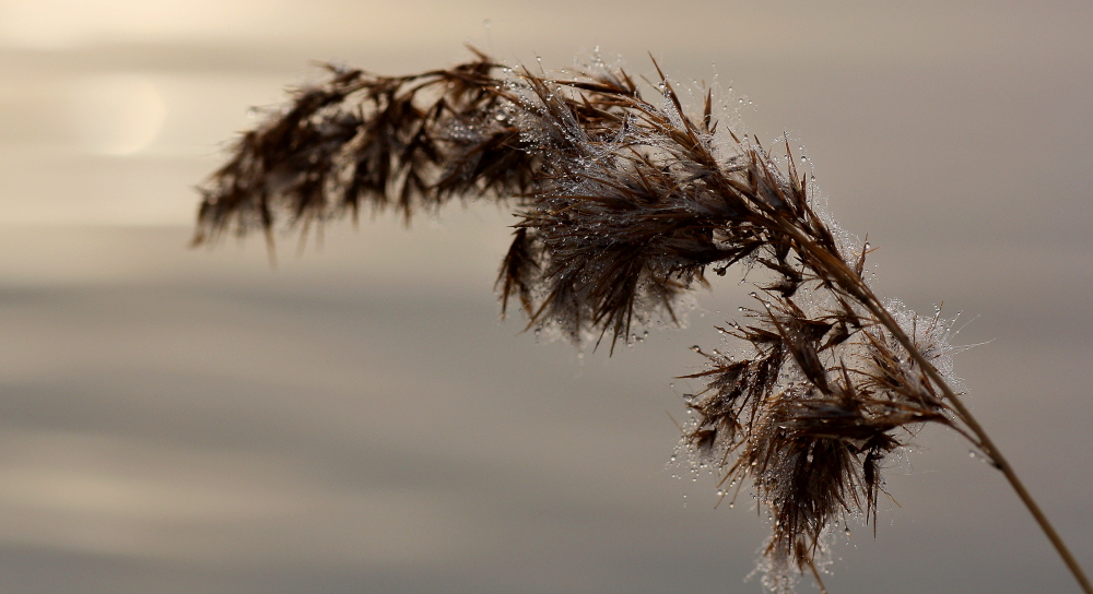 Herbstliche Impressionen II......