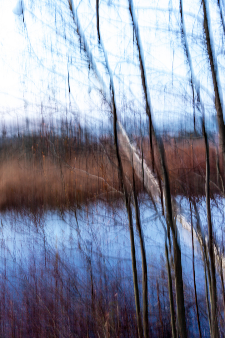 Herbstliche Impressionen II "ICM"