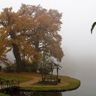 Herbstliche Impressionen im Nebel