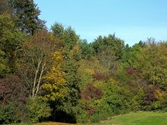 Herbstliche Impressionen im Ostpark München