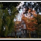 >Herbstliche Impressionen in Hamburg