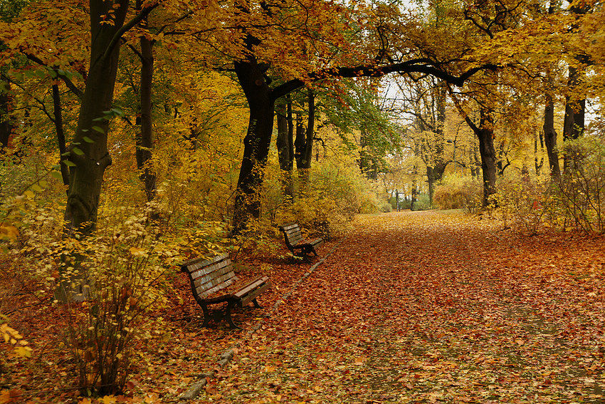 Herbstliche Impressionen4