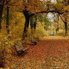 Herbstliche Impressionen4