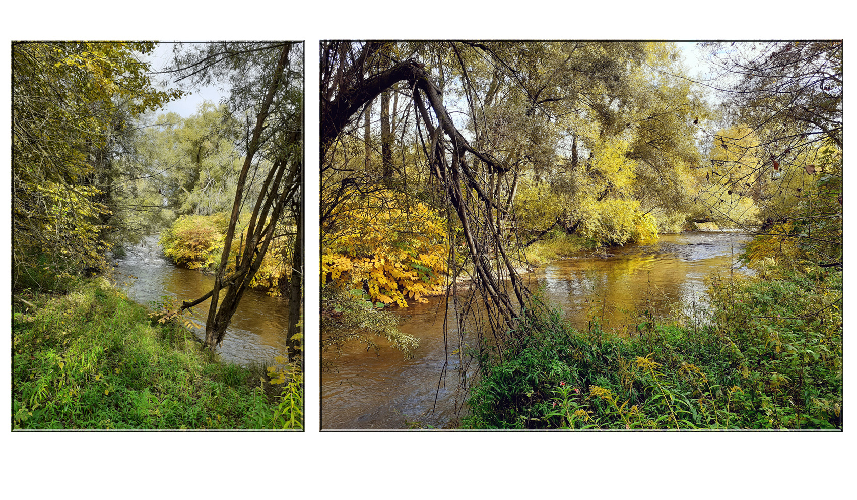 Herbstliche Ingering Au