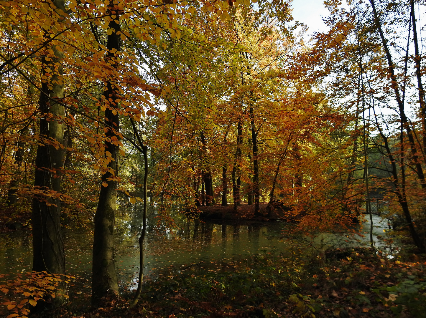 Herbstliche Insel