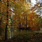 Herbstliche Insel