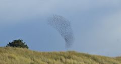 Herbstliche Insel Hiddensee 