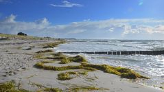 Herbstliche Insel Hiddensee 