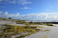 Herbstliche Insel Hiddensee 