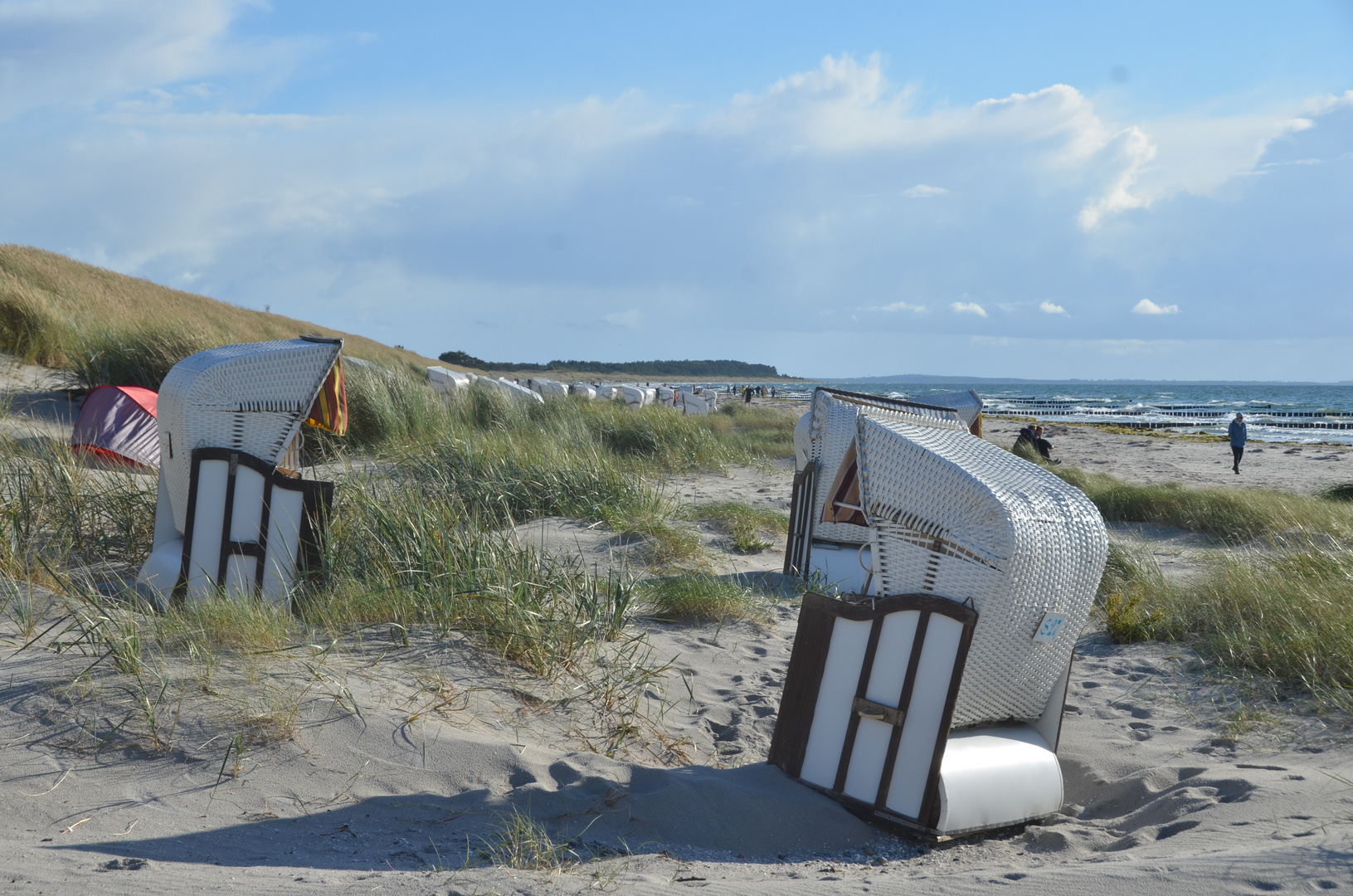 Herbstliche Insel Hiddensee 