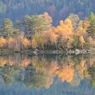 Herbstliche Insel im Eibsee