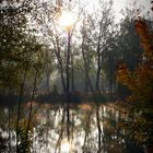 herbstliche Isar