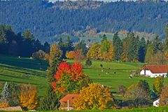 Herbstliche Juraidylle