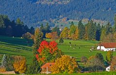 Herbstliche Juraidylle