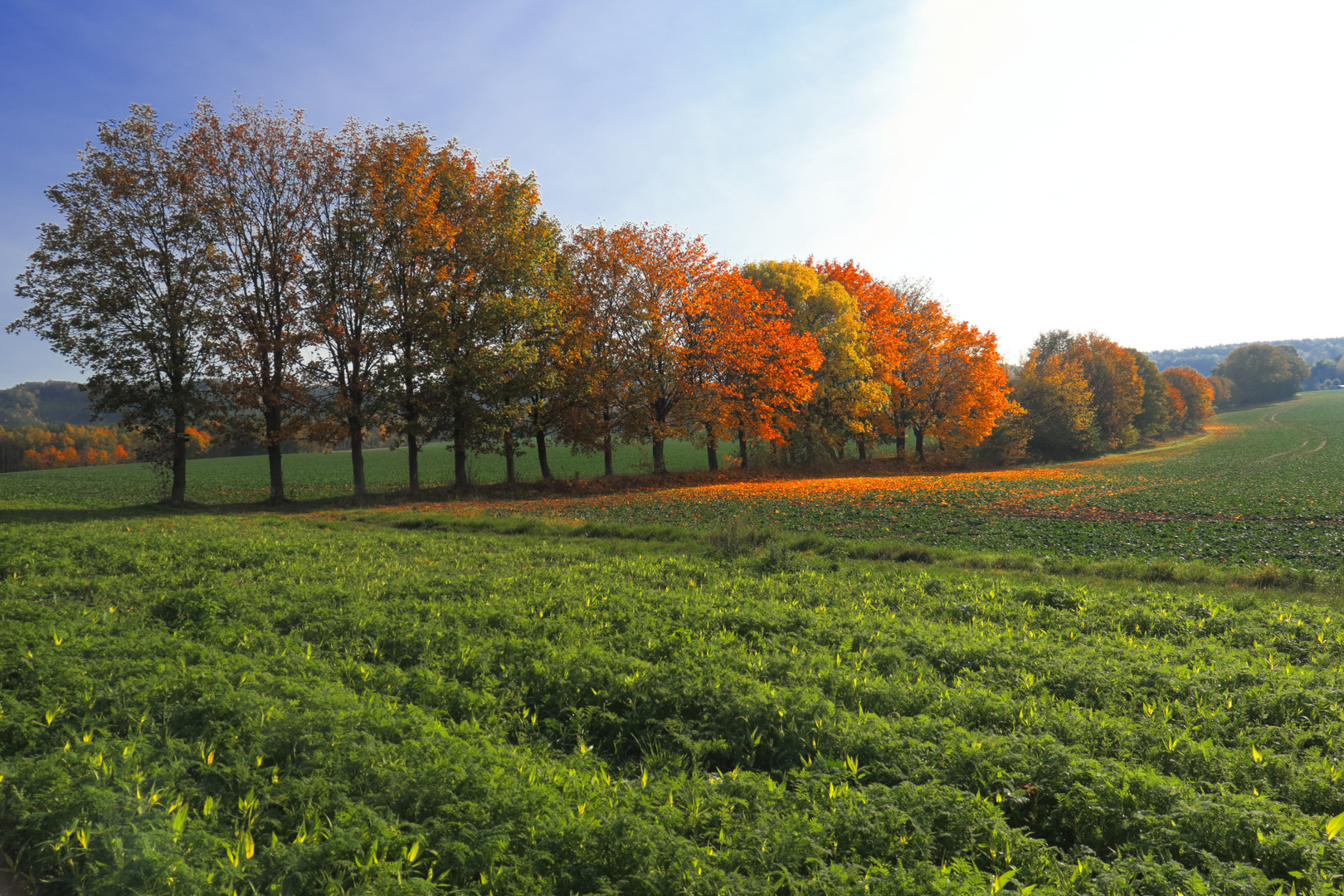 herbstliche Kette